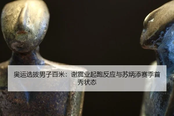 ao-yun-xuan-ba-nan-zi-bai-mi-xie-zhen-ye-qi-pao-fan-ying-yu-su-bing-tian-sai-ji-shou-xiu-zhuang-tai-3-697.jpg