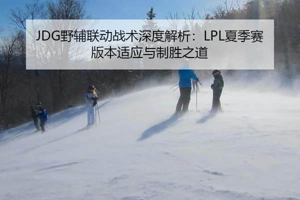 JDG野辅联动战术深度解析：LPL夏季赛版本适应与制胜之道