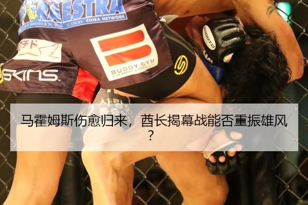 马霍姆斯伤愈归来，酋长揭幕战能否重振雄风？